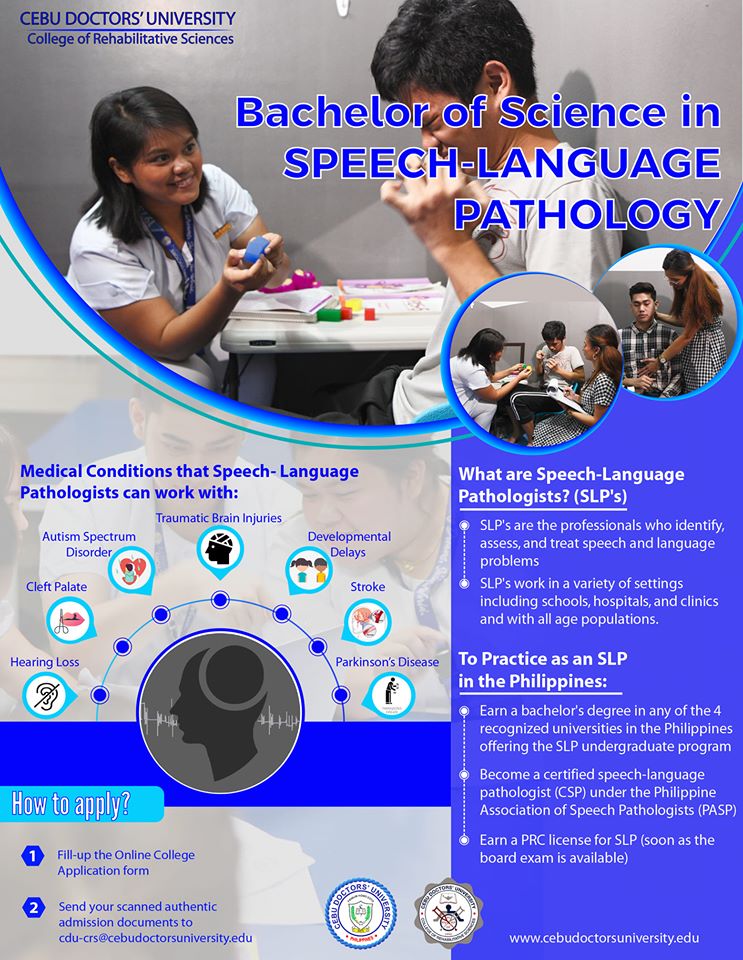 speech language pathology undergraduate programs